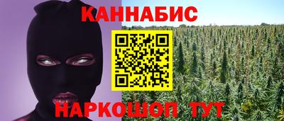 крисы Северобайкальск