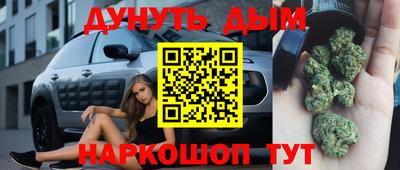 крисы Северобайкальск