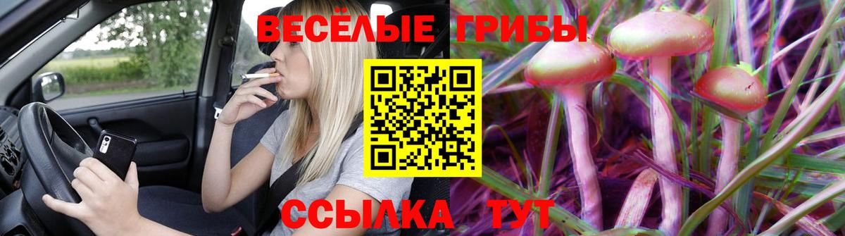 Псилоцибиновые грибы MAGIC MUSHROOMS Нижневартовск